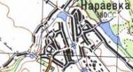 Топографическая карта Нараевки