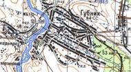 Топографічна карта Губника