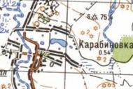Топографическая карта Карабиновки