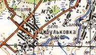 Топографическая карта Цибульковки