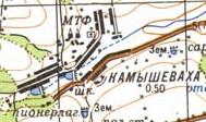 Топографическая карта Камышевахи