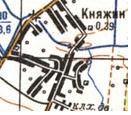 Топографічна карта Княжиного