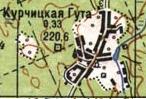 Топографическая карта Курчицкой Гуты