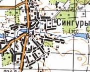 Topographic map of Singury