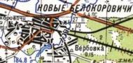Топографічна карта Нових Білокоровичів