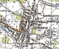 Топографічна карта Чоповичів