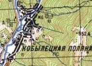 Топографическая карта Кобылецкой Поляны