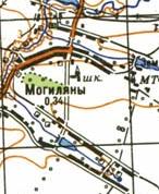 Topographic map of Mogylyany
