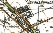 Topographic map of Zaliznychne