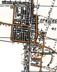 Topographic map of Pryshyb