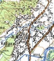 Топографічна карта Кобаків